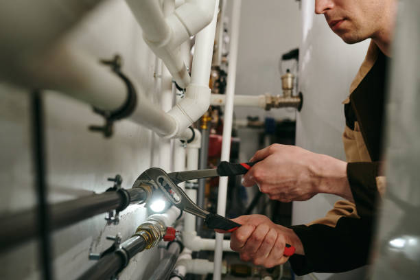 Best Commercial Plumbing Services  in Blooming Prairie, MN