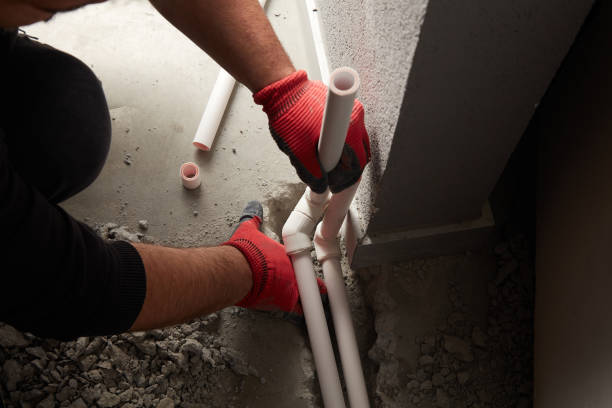 Best Plumbing Services Near Me  in Blooming Prairie, MN