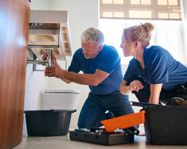 Best Clogged Drain Plumber  in Blooming Prairie, MN